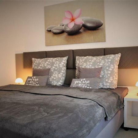 Budget Apartments Salzhausblick: Central City View Zittau Exterior photo