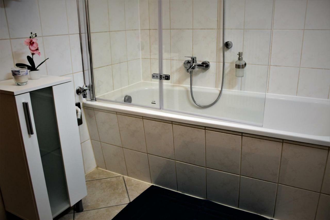 Budget Apartments Salzhausblick: Central City View Zittau Exterior photo