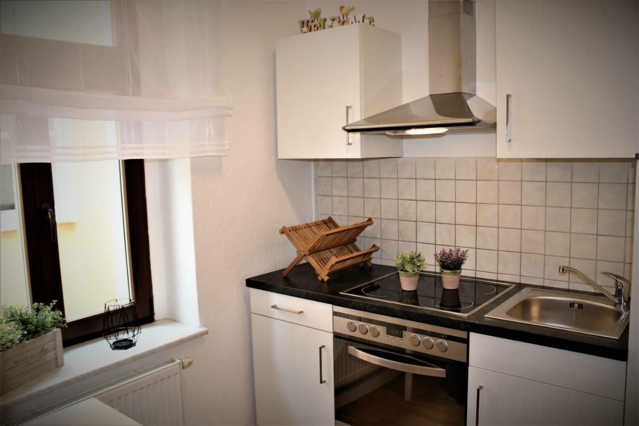 Budget Apartments Salzhausblick: Central City View Zittau Exterior photo