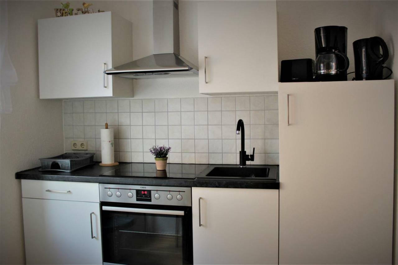Budget Apartments Salzhausblick: Central City View Zittau Exterior photo